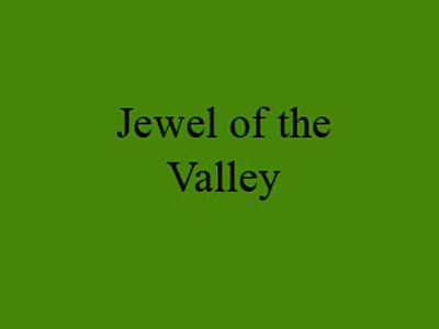 Click on small images