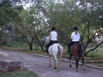 Click on small images 