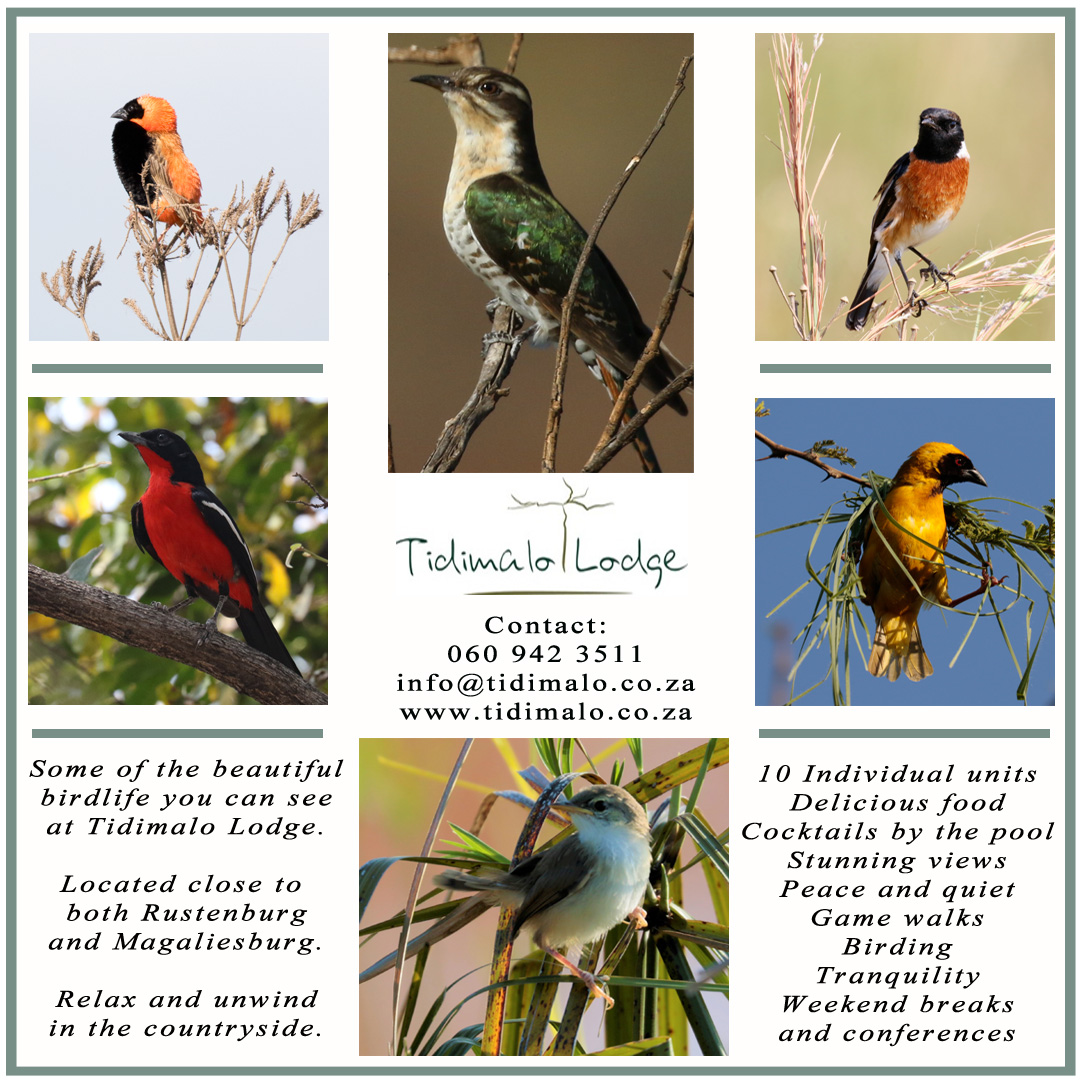 Magaliesburg birding venues